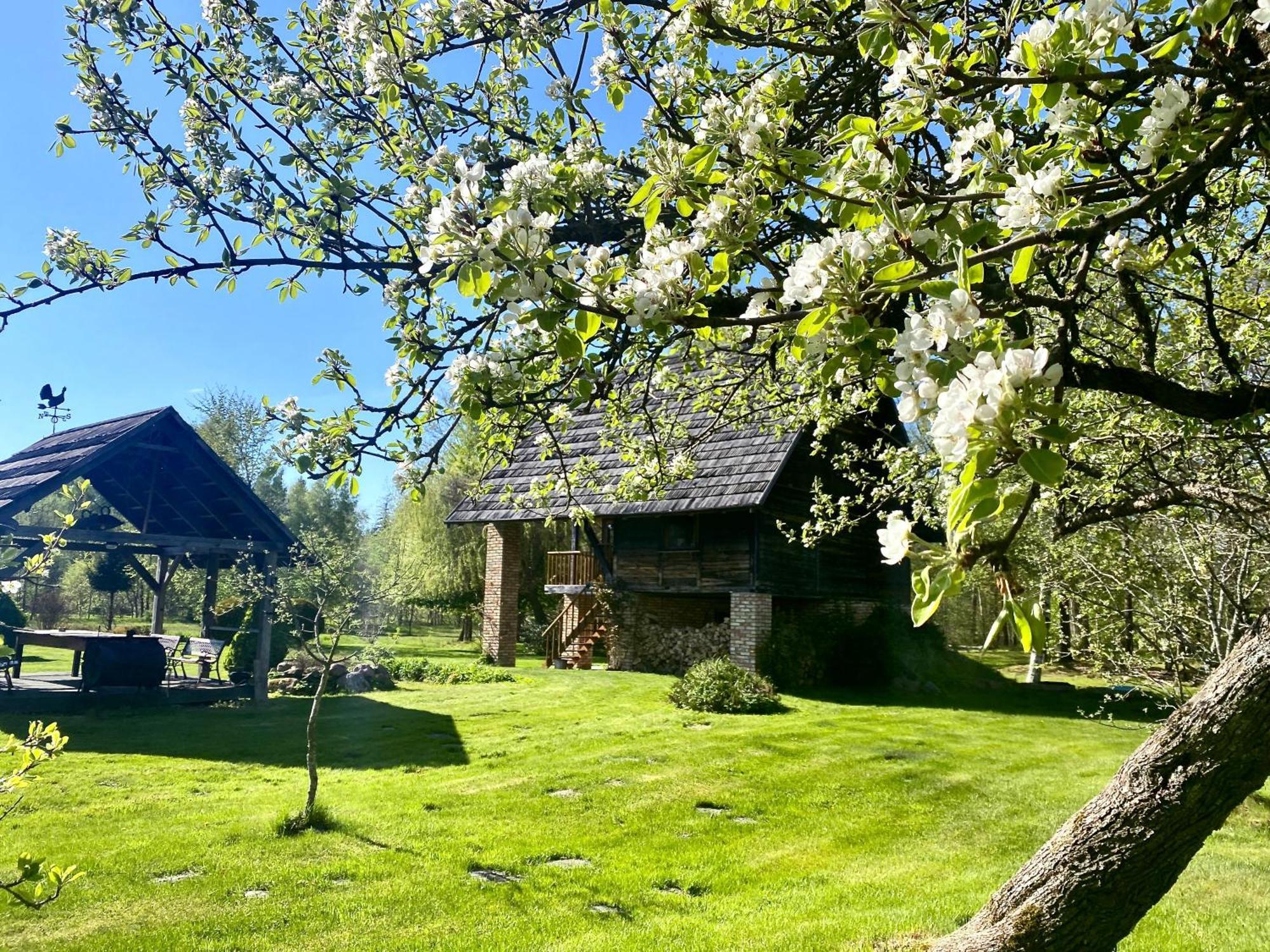 Griki Villa Kalniski Kültér fotó